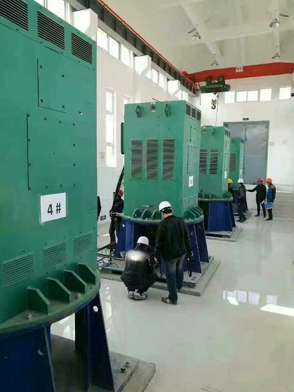 珲春某污水处理厂使用我厂的立式高压电机安装现场生产厂家